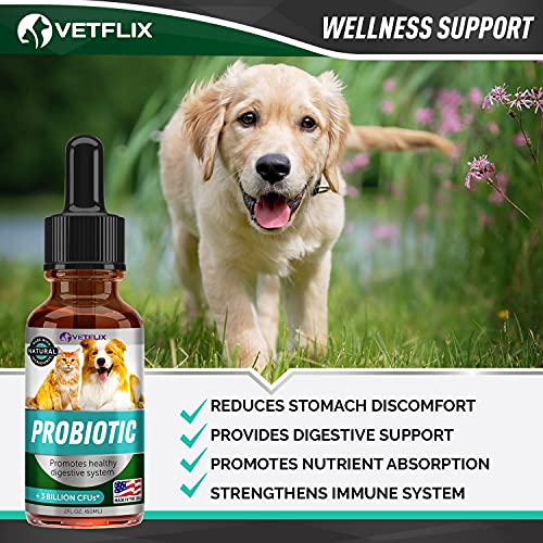Premium Probiotics for Dogs & Cats Digestive Enzymes & Prebiotics