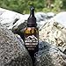 Rocky Mountain Barber Company Men’s Unscented Beard Oil - Featuring Grapeseed Oil, Coconut Oil, Argan Oil and No Added Scent