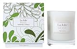 Soy Candles 8 OZ Scented Glass Jar Candle Night Jasmine, 45 Hours BURN, Christmas Gifts for Her