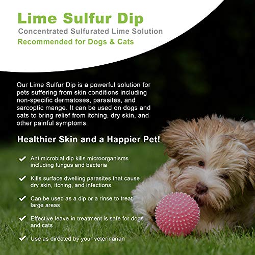VetWELL Lime Sulfur Dip for Dogs, Cats & Horses - for Mange Treatment, Ringworm Treatment, Skin Mites Treatment for Dogs to Help Relieve Itchy Skin - 16 oz