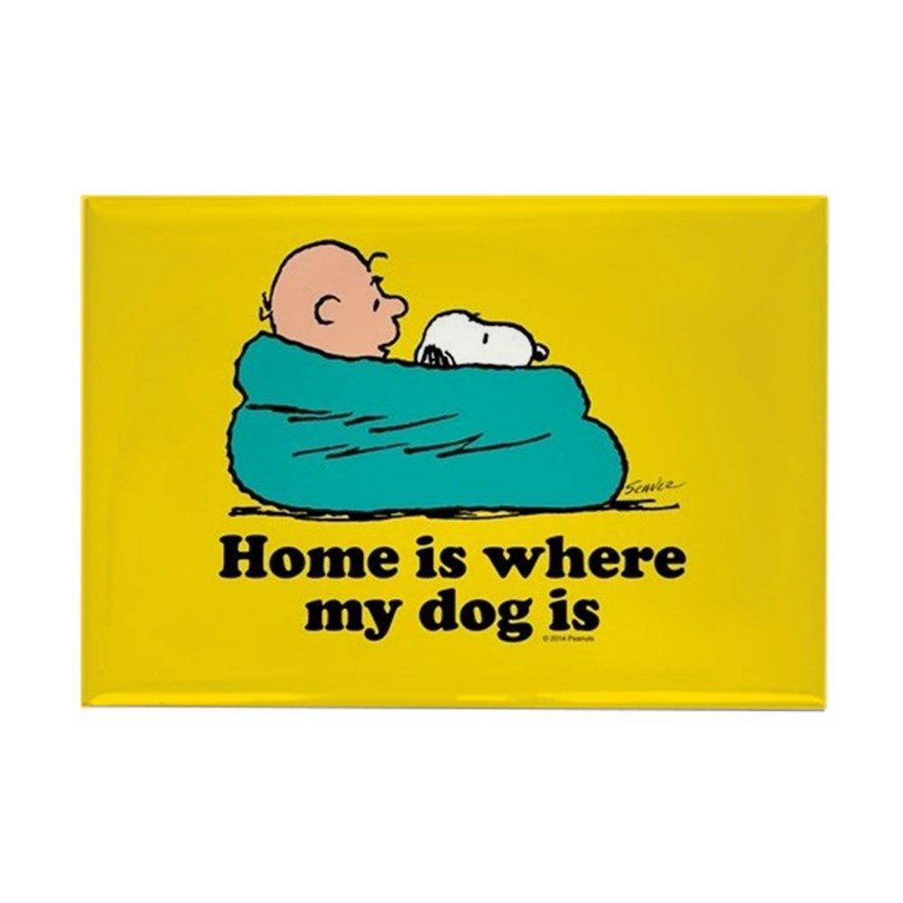 The 10 Best Snoopy Magnets For Refrigerator