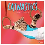 2020 Catnastics Wall Calendar by 