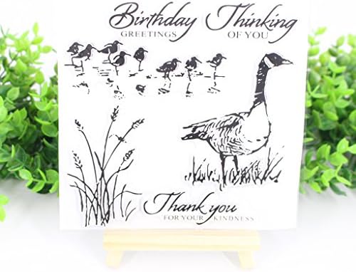 Dchaochao Rubber Perfectly Clear Stamp,Photo Embossing Album Decorative Card Making,Transparent Silicone Stamp Cling Seal DIY Craft Art