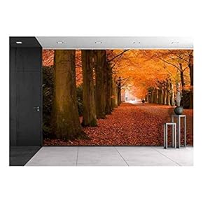 Autumn Colors in The Forest - Canvas Art Wall Decor - 66"x96"