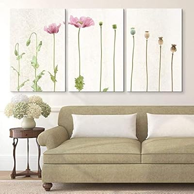 3 Panel Canvas Wall Art - Poppy Flowers and Poppy Seed Pods - Giclee Print Gallery Wrap Modern Home Art Ready to Hang - 24