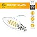 Candelabra LED Filament Bulbs 40W Equivalent, 3000K Soft White Chandelier B11 LED Bulb E12 Base Decorative Candle Light Bulb, Pack of 6