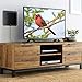 PowerBear TV Antenna [80 Mile Range] HD, Digital, Indoor with Amplifier [16ft Cable]