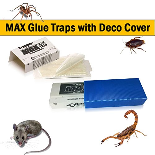 Trapper Max Buy 12 Trapper MAX Glue Traps Plus A 'Hide The Trap' Cover. Trap Mouse ...