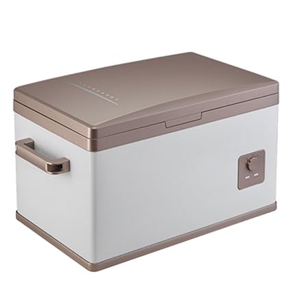 Amazon.es: GEGEQUNAERYA Camping/calentador/viaje/congelador ...