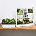 Oak Leaf 10-Pack Seed Starter Tray, 120 Cells Seedling Starter Trays Kit Greenhouse Supplies Seed Trays with Dome and Base, Labels and Hand Tool Kit, 12 Cells per Tray