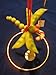 Home Grown Peapod Dragonfly Ornament