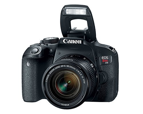 Canon EOS Rebel T7i Camera, EF-S 18-55 is STM Lens Kit, Sandisk 64GB, Ritz Gear Premium SLR Camera Bag, Filter Kit, Flash and Accessory Bundle