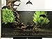BEGONDIS Aquarium Decorations Fish Tank Artificial Green Water Plants Made of Soft Plastic,Safe for All Fish & Petsthumb 3
