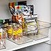 BINO | Plastic Storage Bins, Medium | THE HANDLER COLLECTION | Multipurpose Organizer Bins | Kitchen Pantry Organizers and Storage | Clear Containers for Organizing Home | Freezer Organizer