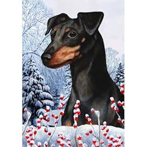 Amazon.com: Best of Breed Winter Berries Full Size Flag ...