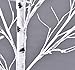 Ecolinear Prelit Birch Tree 96 LEDs Light Silver Twig Warm White White Branches (6 Feet) Home Festival Party Christmas Indoor and Outdoor Use