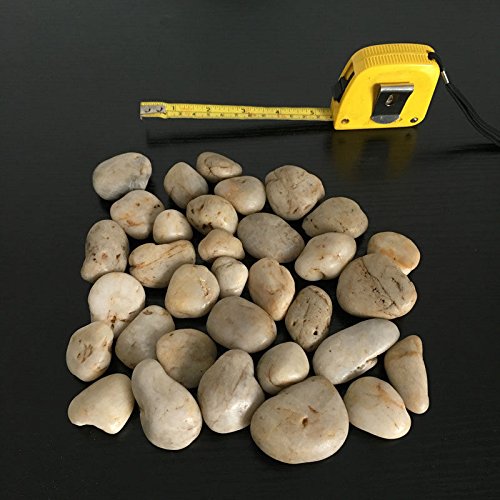 1buy Uk 1kg New Assorted Beige Sand Light Colour Natural Stones