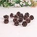 Pine Cones, JUSTDOLIFE 100PCS Christmas Pinecone Ornaments Xmas Tree Ornaments Natural Wood Christmas Tree Decoration Crafts Home Ornament for Home Party Holiday Decor(7 Ounce)