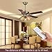 HUOLL Universal Ceiling Fan Light Remote Controller Kit & Timing Wireless Remote Control For Hunter,Harbor Breeze,Westinghouse,Honeywell