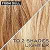 John-Frieda-Sheer-Blonde-Go-Blonder-Lightening-Shampoo-for-Blonde-Hair-250ml John Frieda Sheer Blonde Go Blonder Shampoo 250 ml