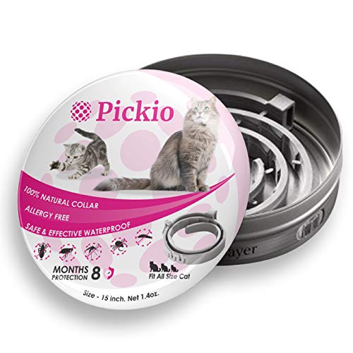 Flea Tick Prevention for Cats - Cat Flea Collars Flea Tick Prevention Cat Flea Treatment Flea Protection Pet Flea Collars Fit All Cats Fleas Ticks for Flea Control Cats - Thumbnail 4