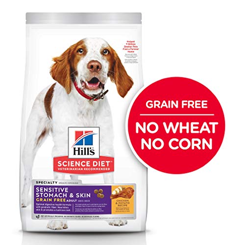 Best Dog Food For Less Poop Buyer's Guide Scout Knows