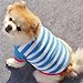 Mikey Store Pet Dog Clothes Soft Thickening Warm Stripe Polar Fleece Winter Clothes (Blue, XS)
