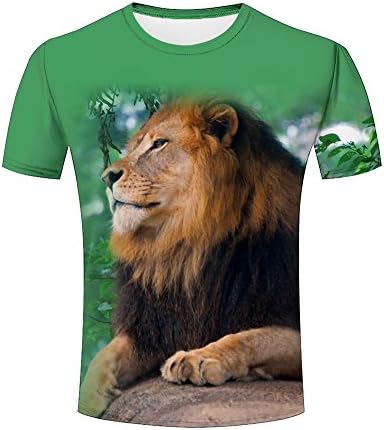 Pete Allan 3D T-Shirt Lion Lying on Rock Print Couple Tees XXXL