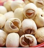 Helen-Ou-Super-Grade-Corless-Lotus-Seeds-Jian-Ning-250g882oz055lb