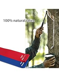 Juego de bandas de resistencia Howso con trabillas para ejercicios de 12.0 in con bolsa de transporte