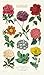 Cavallini Papers Botanica Tea Towel, Multicolor