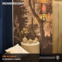 SYLVANIA Incandescent Décor Light
