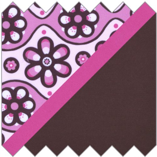 Evenflo Maestro Pelham