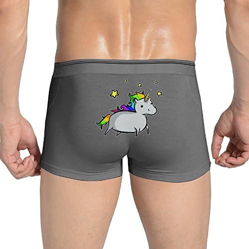 Funny Flying Cute Unicorn Male Seamless Boxer Briefs Underwear