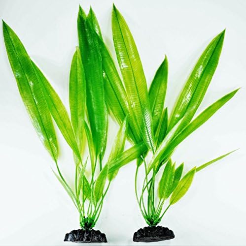 TanksALot Plastic Aquarium Plant Amazon Sword 8" Medium Green 2 Pack (14.5" Large)