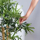 Amazon Basics Artificial Bamboo Plant with Plastic Planter 100 cm view 6