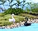 Smilesky Miniature Swan Figure Animal Bird Toys Fairy Garden Decorations White & Black 1