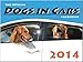 The Official DOGS IN CARS Calendar by 