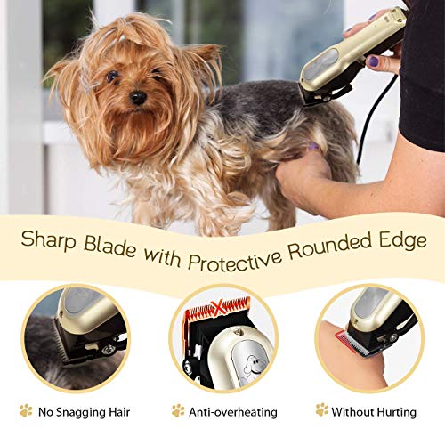 Best Dog Clippers for Thick Coats of 2020 Dogscessories