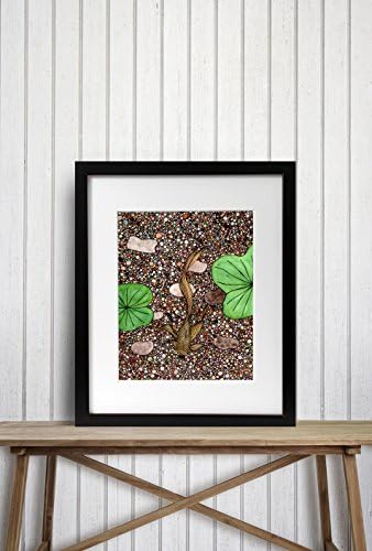 Pebbles Original Watercolor - Art Print