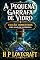 Livro A garrafinha de vidro: COM COMENTÁRIOS