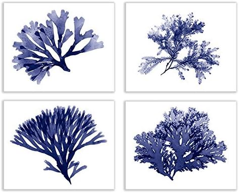 Navy Blue Set of Four 8x10 Inch Seaweed Prints No.s 03, 20, 24, and 25 in classic navy blue, Coastal Decor Print Set