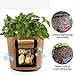 SWANTIS 3 Pack DIY Potato Grow Bag Home Garden Breathable Waterproof Window Vegetables Planter Flower Pots with Flip and Strap Handlethumb 1