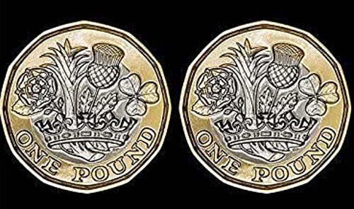 QUICK PICK MAGIC Double Tailed New 12 Sided Pound - Tails On Both Sides - Double Sided Coin Trick
