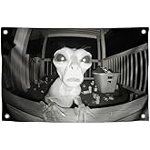 3x5 Feet Funny Alien Flag with Four Brass Grommets - Crazy Funny Banner Alien Make You Laugh - Meme Banner for Wall Decoration Livingroom - Tapestry Party Decor for Outdoor or Indoor for Classroom