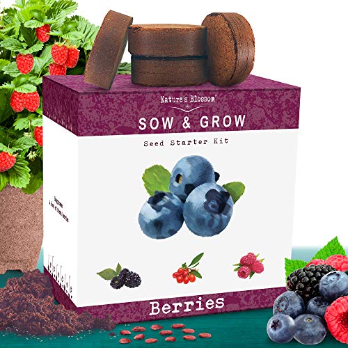 Nature's Blossom Fruit Growing Kit. Grow 4 Types of Berries from Seed