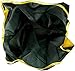 NFL Green Bay Packers Bag in Pouch