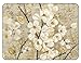 JASON Blossoming Branches Placemats - Set of 4 (Large)
