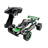 Blexy RC Car 1/20 Stunt Off-Road Crawler 2.4Ghz 2WD Radio Remote Control Electric Fast Racing Truck Vehicle 25KM/H High Speed RC Buggy Toy for Kids (Green)