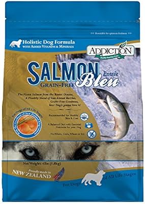 grain free salmon dry dog food